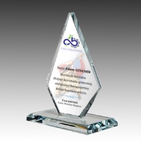 CAM PLAKET